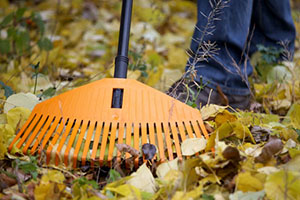 прибирання листя