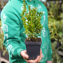 Гарантия качества продукции и упаковки - картинка 1