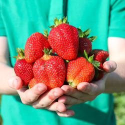 Гарантия качества продукции и упаковки - картинка 2