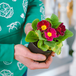 Гарантия качества продукции и упаковки - картинка 3