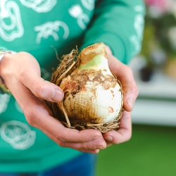 Гарантия качества продукции и упаковки - картинка 4