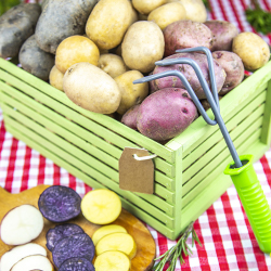 Гарантия качества продукции и упаковки - картинка 7